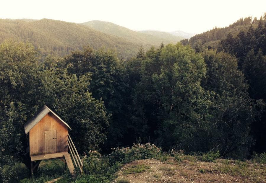 Solace Wellness — Social Content System
