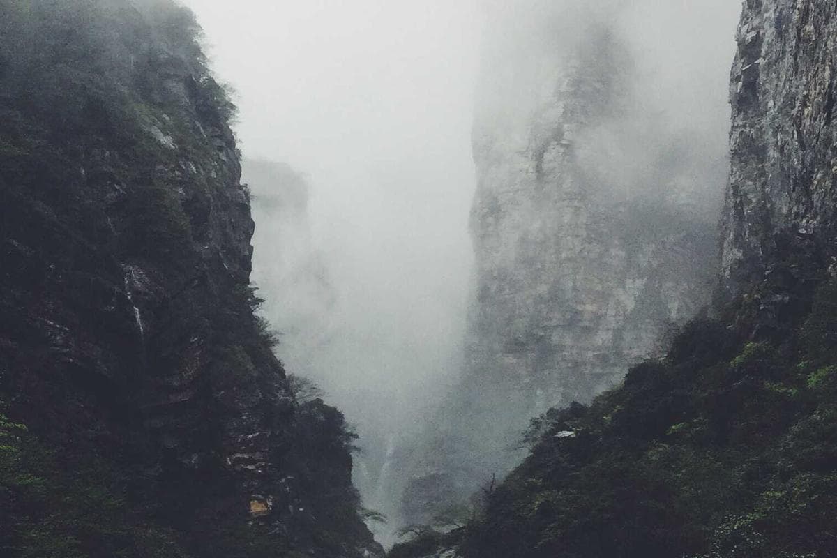 TrueForm Fitness Identity