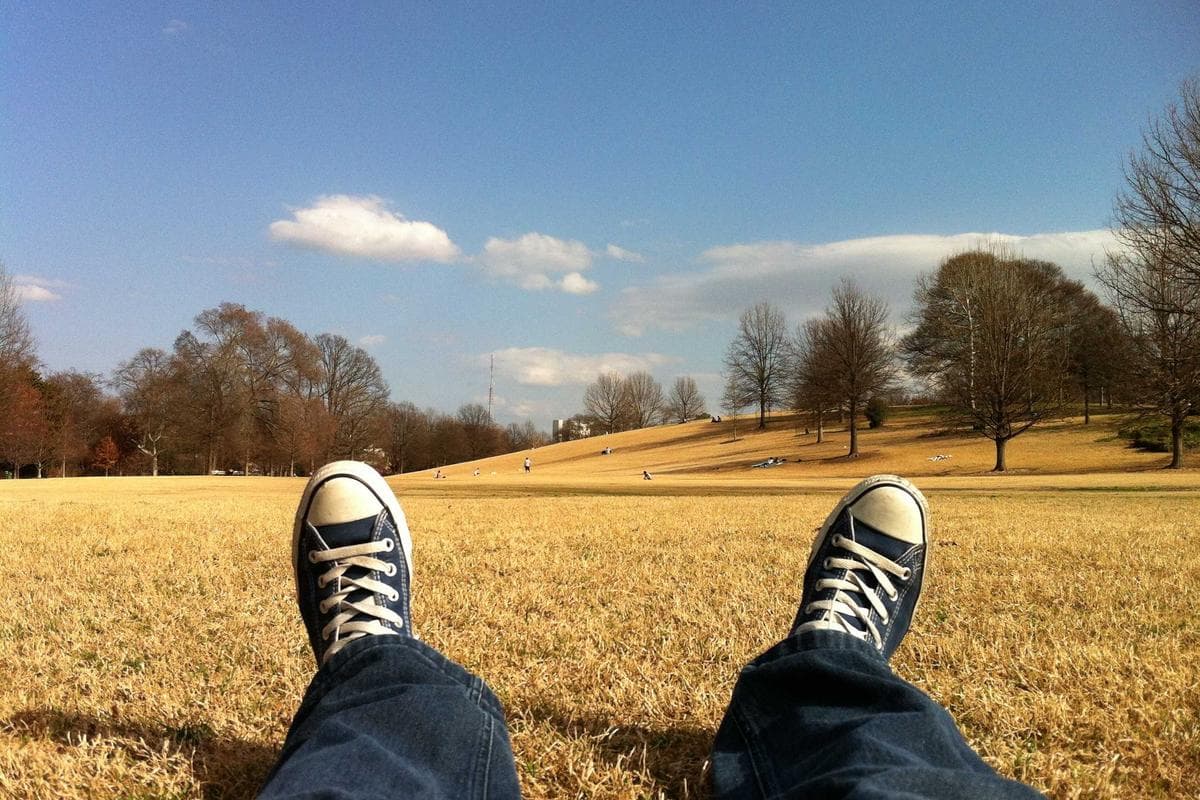 Summit Gear Field Inventory App